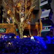 ヒメ日記 2025/12/09 08:17 投稿 ヒメ スイカ