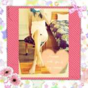 ヒメ日記 2025/05/16 14:19 投稿 まこ 佐賀人妻デリヘル 「デリ夫人」