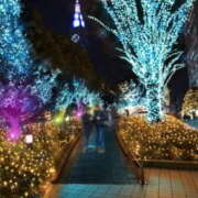 ヒメ日記 2024/12/18 15:13 投稿 細井 熟女待機所 厚木店