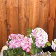 ヒメ日記 2025/06/21 18:38 投稿 細井 熟女待機所 厚木店