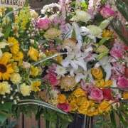 ヒメ日記 2025/09/05 16:24 投稿 細井 熟女待機所 厚木店