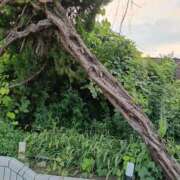 ヒメ日記 2025/09/10 11:25 投稿 細井 熟女待機所 厚木店