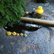 ヒメ日記 2025/09/14 16:25 投稿 細井 熟女待機所 厚木店