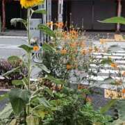 ヒメ日記 2025/10/22 10:46 投稿 細井 熟女待機所 厚木店