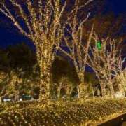 ヒメ日記 2025/11/07 14:46 投稿 細井 熟女待機所 厚木店