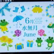 細井 ６月のお礼☔ 熟女待機所 厚木店