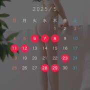 ヒメ日記 2025/04/30 15:31 投稿 京香 ルピナス