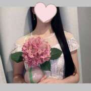 京香 秋色 ルピナス