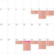 ヒメ日記 2025/03/02 12:30 投稿 るな ルピナス