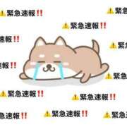 ヒメ日記 2025/03/26 21:31 投稿 るな ルピナス