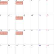 ヒメ日記 2025/05/31 17:02 投稿 るな ルピナス