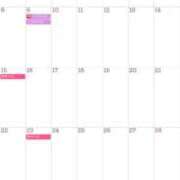 ヒメ日記 2025/08/29 09:00 投稿 るな ルピナス