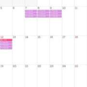 ヒメ日記 2025/12/19 22:02 投稿 るな ルピナス