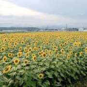 ヒメ日記 2025/07/23 19:26 投稿 ゆり　専属講師 Sweet～スウィート～