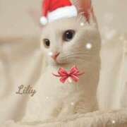 ヒメ日記 2025/12/25 00:36 投稿 ゆり　専属講師 Sweet～スウィート～