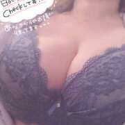 あおい 無題 巨乳痴女専門店 萌えの隣人 新宿店