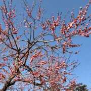 ヒメ日記 2026/03/01 10:39 投稿 香坂 シェリー エルドール