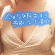 ヒメ日記 2025/10/05 08:01 投稿 あおい 石亭