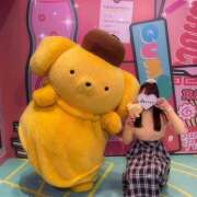 ヒメ日記 2024/12/16 19:35 投稿 ぽむ 神田はっち