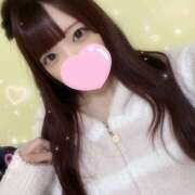 ヒメ日記 2024/12/31 03:41 投稿 ぽむ 神田はっち