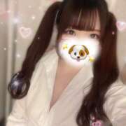 ヒメ日記 2025/02/11 18:54 投稿 ぽむ 神田はっち