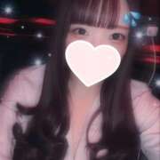 ヒメ日記 2025/02/19 20:06 投稿 ぽむ 神田はっち