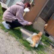 ヒメ日記 2025/03/27 19:48 投稿 ぽむ 神田はっち