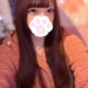 ヒメ日記 2025/04/28 21:41 投稿 ぽむ 神田はっち