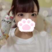 ヒメ日記 2025/08/01 21:25 投稿 ぽむ 神田はっち