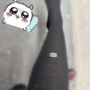 ヒメ日記 2025/09/17 18:59 投稿 ぽむ 神田はっち