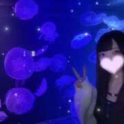 ヒメ日記 2025/10/23 21:20 投稿 ぽむ 神田はっち