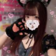 ヒメ日記 2025/10/29 19:40 投稿 ぽむ 神田はっち