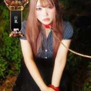 ヒメ日記 2025/11/02 19:02 投稿 なほ 京都デリヘル倶楽部FIRST