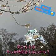 ヒメ日記 2025/04/12 08:36 投稿 えーこ club さくら日本橋店