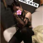 ヒメ日記 2026/03/07 00:00 投稿 えーこ club さくら日本橋店