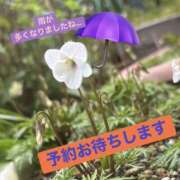 ヒメ日記 2026/03/26 11:06 投稿 えーこ club さくら日本橋店