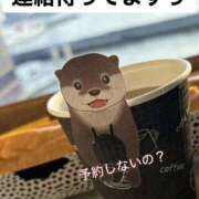 ヒメ日記 2026/04/02 08:36 投稿 えーこ club さくら日本橋店