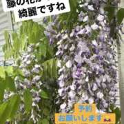 ヒメ日記 2026/04/18 12:39 投稿 えーこ club さくら日本橋店