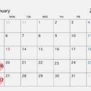 渋谷りな 1月の予定 ハマヘル同好会（横浜ハレ系）