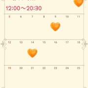 ヒメ日記 2024/12/29 13:01 投稿 ひかり New Sky