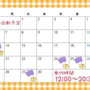 ヒメ日記 2025/04/12 13:11 投稿 ひかり New Sky