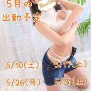 ヒメ日記 2025/04/29 11:57 投稿 ひかり New Sky