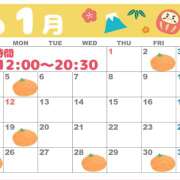 ヒメ日記 2025/12/31 13:34 投稿 ひかり New Sky