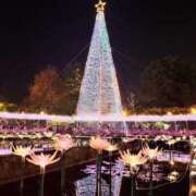 ヒメ日記 2024/12/18 09:25 投稿 いちか 石亭