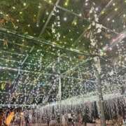 ヒメ日記 2024/12/26 10:08 投稿 いちか 石亭