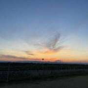 ヒメ日記 2025/01/01 21:35 投稿 いちか 石亭