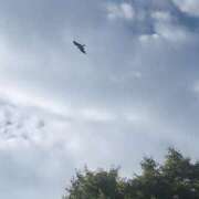 ヒメ日記 2025/01/02 09:37 投稿 いちか 石亭