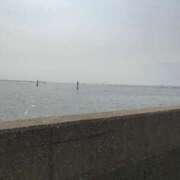 ヒメ日記 2025/01/08 19:23 投稿 いちか 石亭