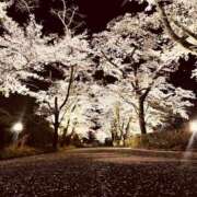 ヒメ日記 2025/01/10 22:14 投稿 いちか 石亭