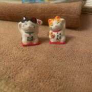 ヒメ日記 2025/02/01 18:57 投稿 いちか 石亭